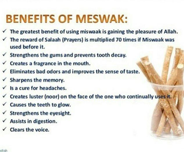 EcoClean Miswak Sticks