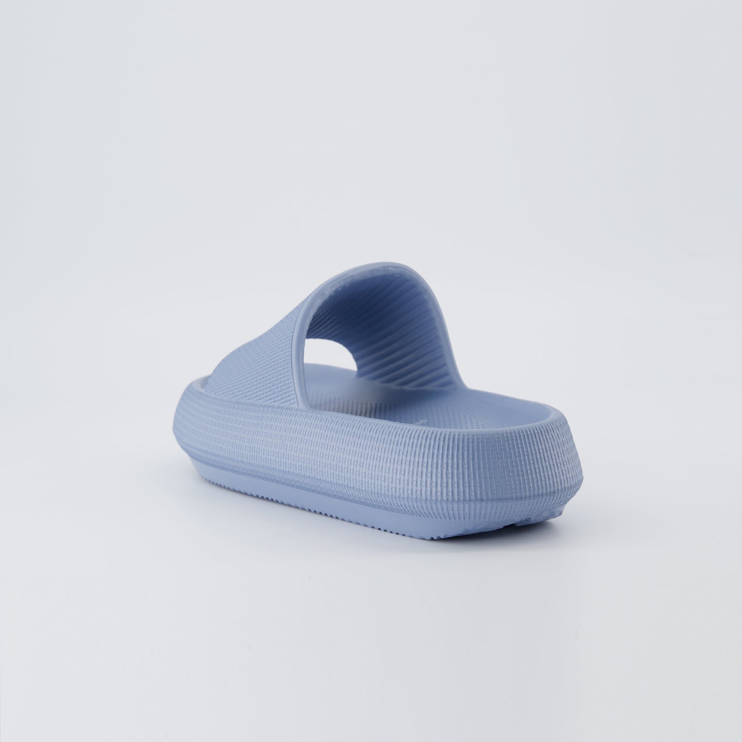 CloudStep™ Recovery Slides