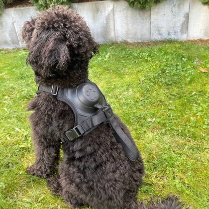 All-in-one Dog Harness