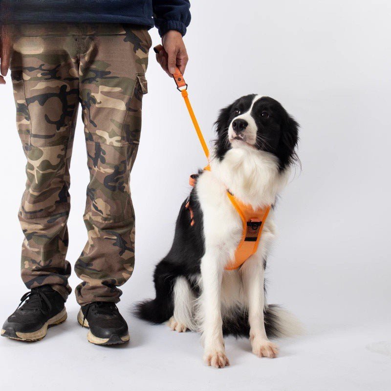 All-in-one Dog Harness