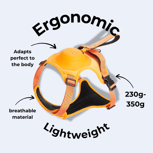 All-in-one Dog Harness