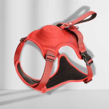 All-in-one Dog Harness