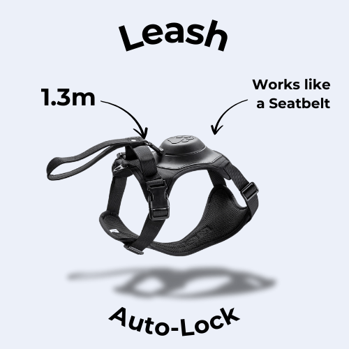 All-in-one Dog Harness
