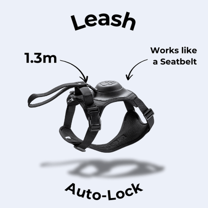 All-in-one Dog Harness